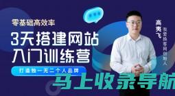 全面掌握网页制作技巧，提升SEO优化能力的实战教程